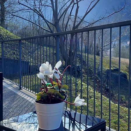 Appartamento Casa Laura Zona Bellagio Magreglio Esterno foto
