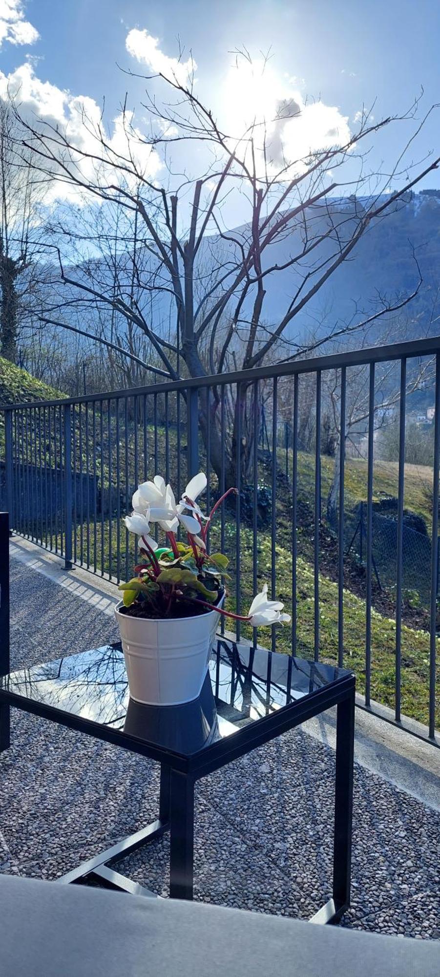 Appartamento Casa Laura Zona Bellagio Magreglio Esterno foto